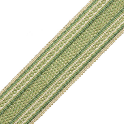 1.7" (43 Mm) Tiverton Border Trim by Samuel & Sons in Fern