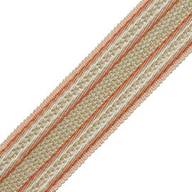 1.7" (43 Mm) Tiverton Border Trim by Samuel & Sons in Rosewater