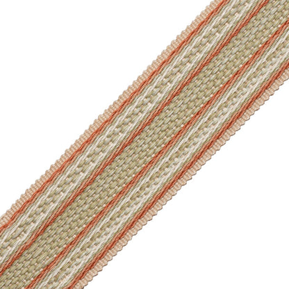 1.7" (43 Mm) Tiverton Border Trim by Samuel & Sons in Rosewater