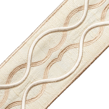 Comet Embroidered Border Trim by Samuel & Sons in Crystal