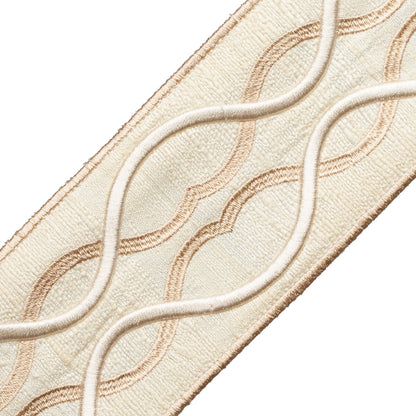 Comet Embroidered Border Trim by Samuel & Sons in Crystal