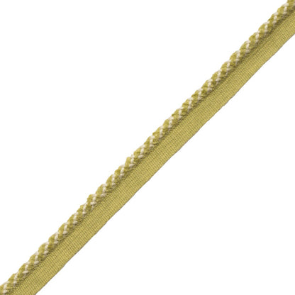 Terrace Cord With Tape Trim by Samuel & Sons in Leaf