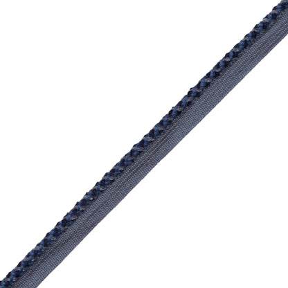 Terrace Cord With Tape Trim by Samuel & Sons in Marine