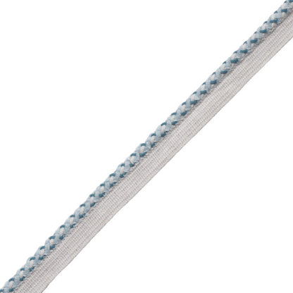 Terrace Cord With Tape Trim by Samuel & Sons in Sky