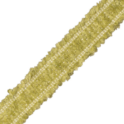 Terrace Chenille Border Trim by Samuel & Sons in Leaf