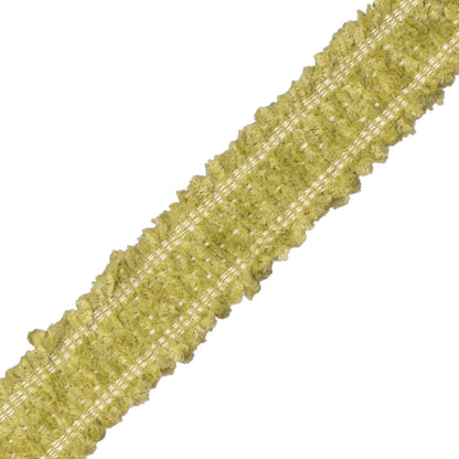 Terrace Chenille Border Trim by Samuel & Sons in Leaf
