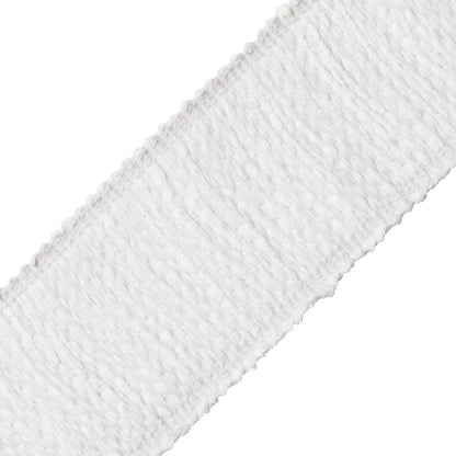 Terrace Strié Chenille Border Trim by Samuel & Sons in Vapor