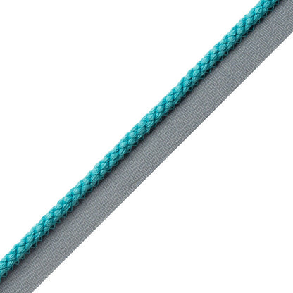 1/4" Cambridge Cord With Tape Trim by Samuel & Sons in Pool