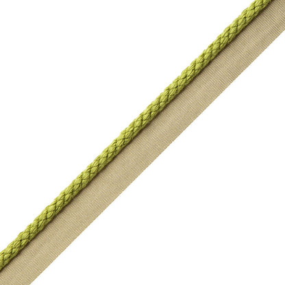 1/4" Cambridge Cord With Tape Trim by Samuel & Sons in Meadow