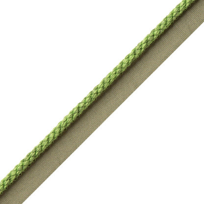 1/4" Cambridge Cord With Tape Trim by Samuel & Sons in Lime