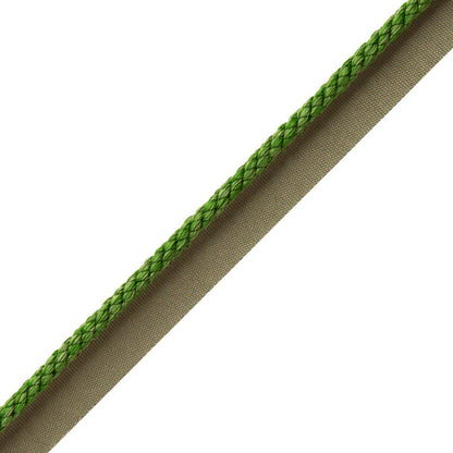 1/4" Cambridge Cord With Tape Trim by Samuel & Sons in Spring Green
