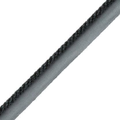1/4" Cambridge Cord With Tape Trim by Samuel & Sons in Ink