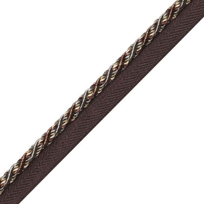 Margaux Cord With Tape Trim by Samuel & Sons in Aubergine