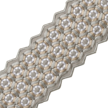 Queen Bee Embroidered Border Trim by Samuel & Sons in Hazel