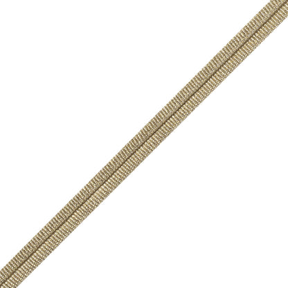 Julienne Metallic Double Welting Trim by Samuel & Sons in Brass