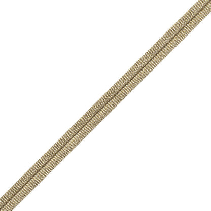 Julienne Metallic Double Welting Trim by Samuel & Sons in Brass