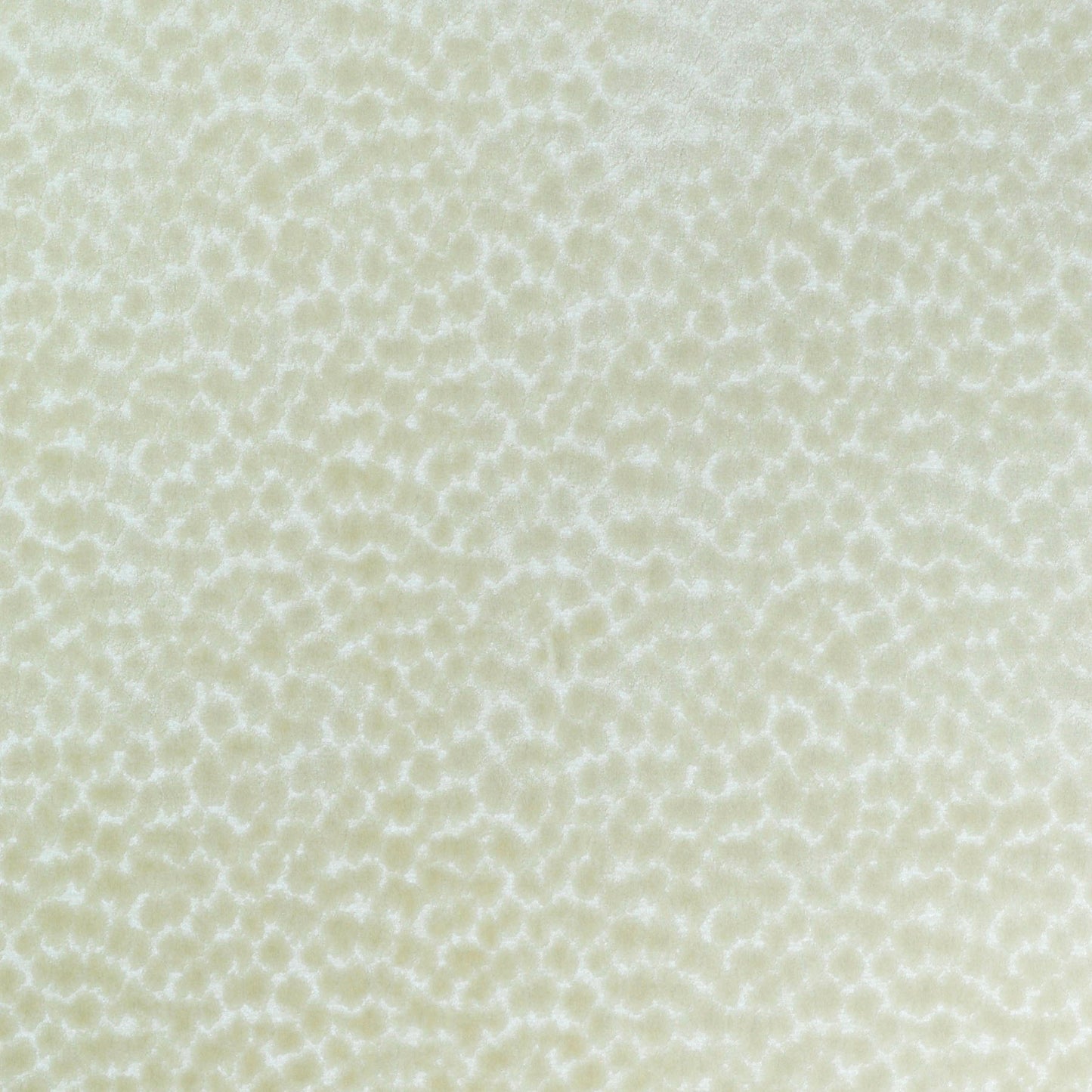 TRH2248 Fabric