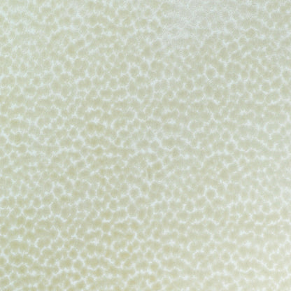 TRH2248 Fabric