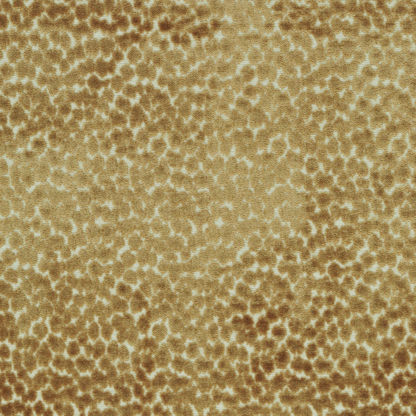 TRH2248 Fabric