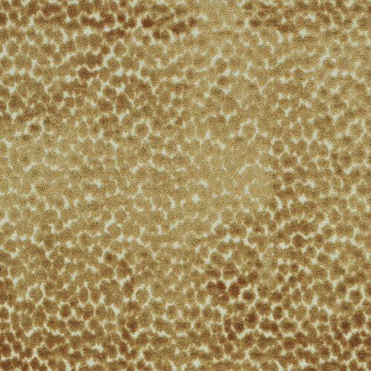 TRH2248 Fabric
