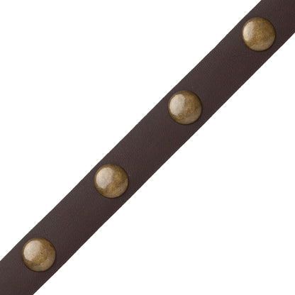 Esperia Nailhead Border Trim by Samuel & Sons in Dark Bay