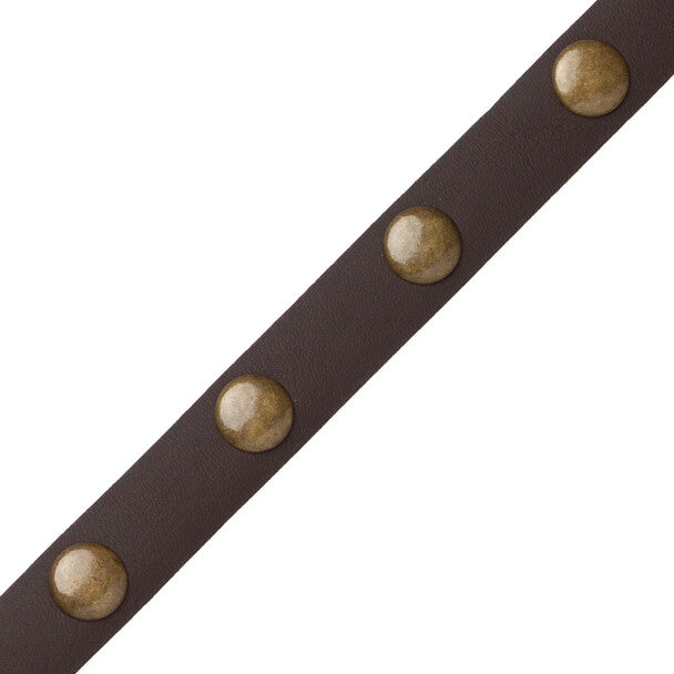 Esperia Nailhead Border Trim by Samuel & Sons in Dark Bay