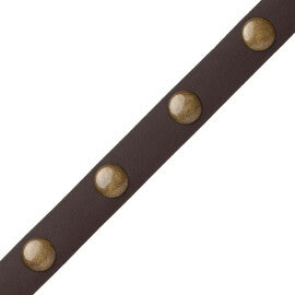 Esperia Nailhead Border Trim by Samuel & Sons in Dark Bay