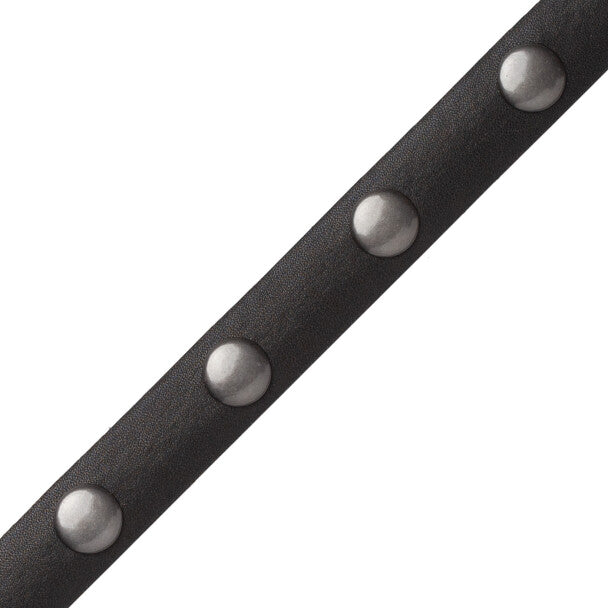 Esperia Nailhead Border Trim by Samuel & Sons in Black
