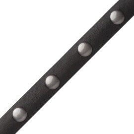Esperia Nailhead Border Trim by Samuel & Sons in Black
