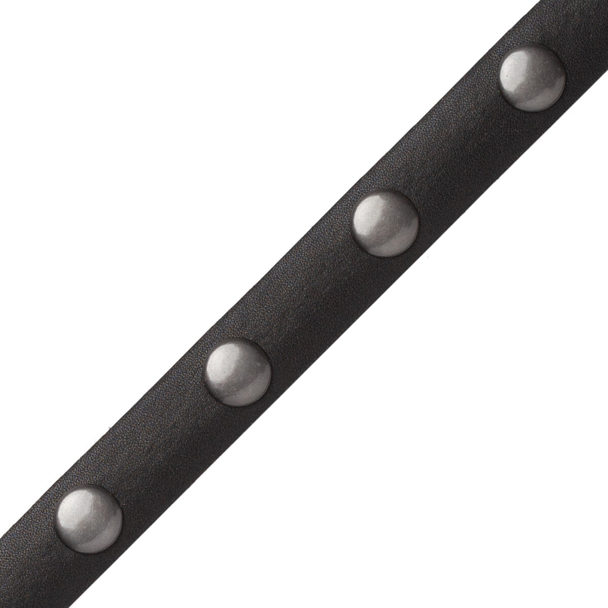 Esperia Nailhead Border Trim by Samuel & Sons in Black