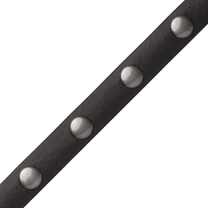 Esperia Nailhead Border Trim by Samuel & Sons in Black