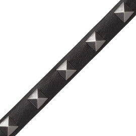 Mèrens Nailhead Border Trim by Samuel & Sons in Black