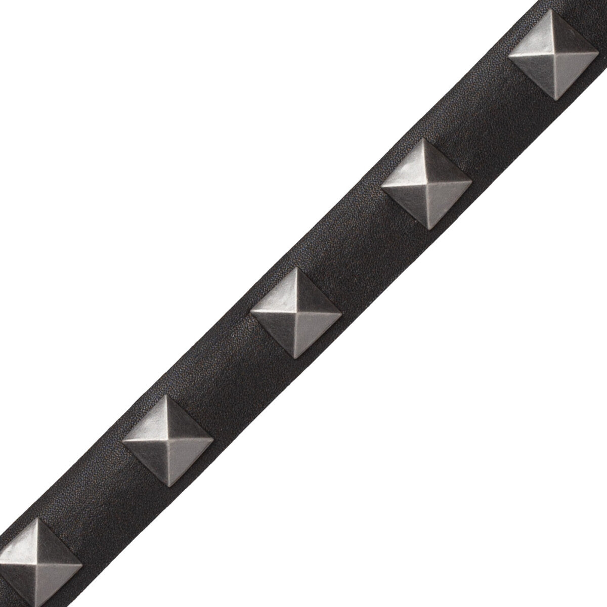 Mèrens Nailhead Border Trim by Samuel & Sons in Black