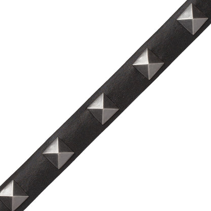 Mèrens Nailhead Border Trim by Samuel & Sons in Black