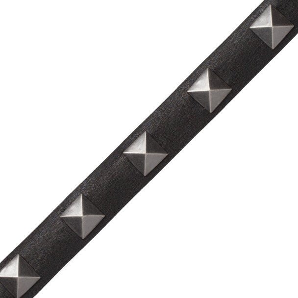 Mèrens Nailhead Border Trim by Samuel & Sons in Black