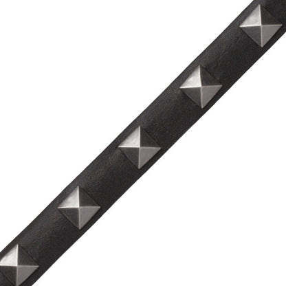 Mèrens Nailhead Border Trim by Samuel & Sons in Black