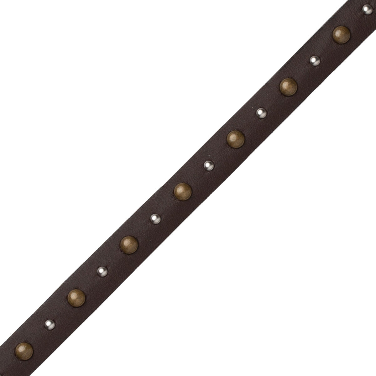 Senna Studded Gimp Trim by Samuel & Sons in Dark Bay
