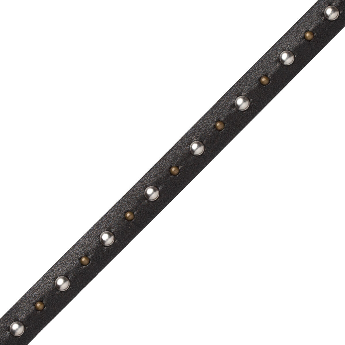 Senna Studded Gimp Trim by Samuel & Sons in Black