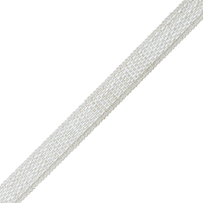 Aspen Border Trim by Samuel & Sons in Birch