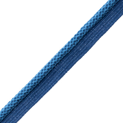 Aspen Cord With Tape Trim by Samuel & Sons in Lake