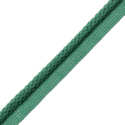 Aspen Cord With Tape Trim by Samuel & Sons in Pine