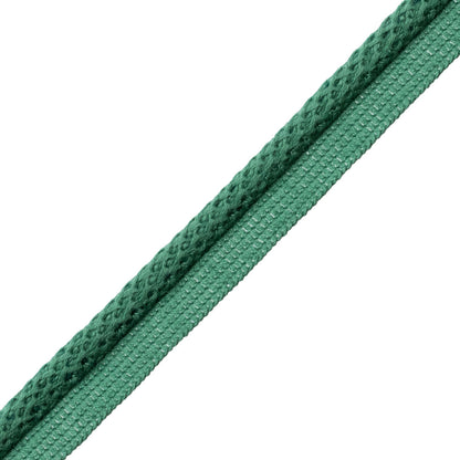 Aspen Cord With Tape Trim by Samuel & Sons in Pine