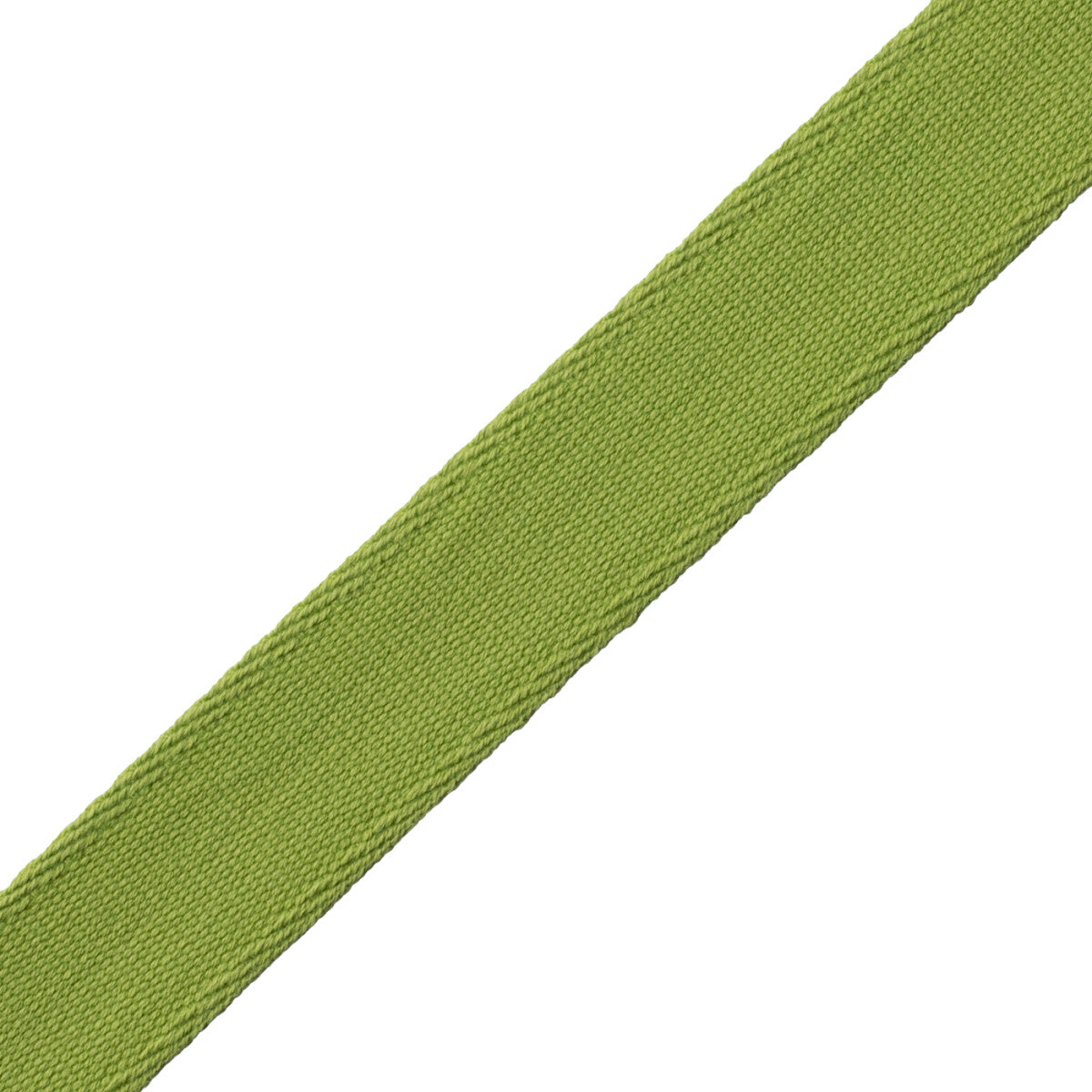 Aspen Ribbed Border Trim by Samuel & Sons in Meadow