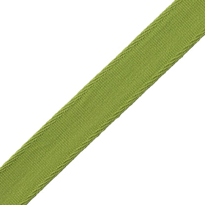 Aspen Ribbed Border Trim by Samuel & Sons in Meadow