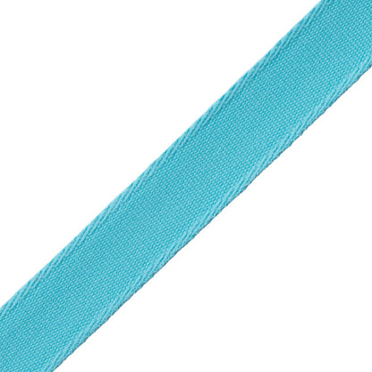 Aspen Ribbed Border Trim by Samuel & Sons in Pool