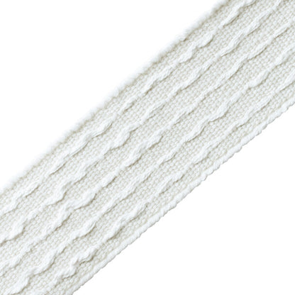 Aspen Slubbed Border Trim by Samuel & Sons in Birch