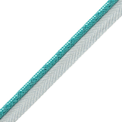 Francoise Cord With Tape Trim by Samuel & Sons in Capri