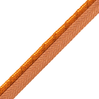 Francoise Cord With Tape Trim by Samuel & Sons in Apricot