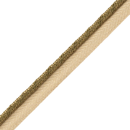 Francoise Metallic Cord With Tape Trim by Samuel & Sons in Gold