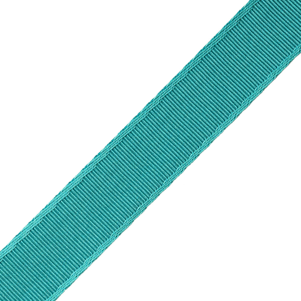 1" (25 Mm) Francoise Border Trim by Samuel & Sons in Capri